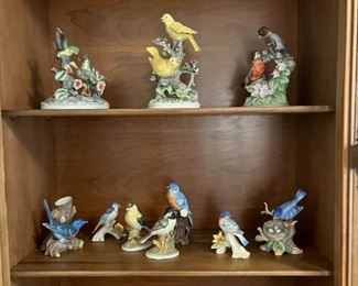 Part of the bird collection
