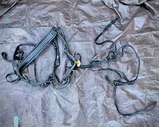 Horse Carriage Driving Lines, Harnesses, Collars.
