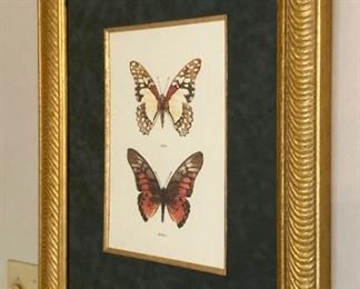 Regency framed Butterfly Couples II