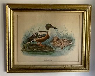 Framed art - "Shoveller"