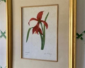 Framed signed artwork "Amaryllis"