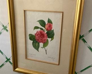 Framed signed artwork "Camillia Japanese"