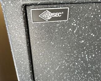 Amsec safe