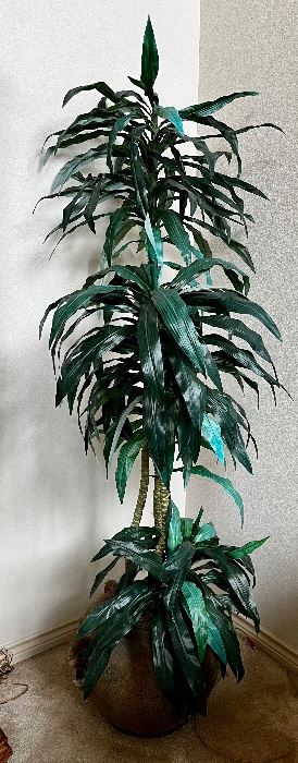 Indoor plants-SOLD