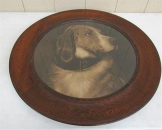 Oak Frame Dog Picture