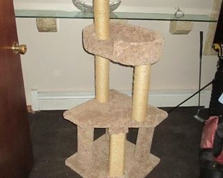 Cat Tree (no cats in House)