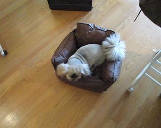 Dog NFS......well maybe