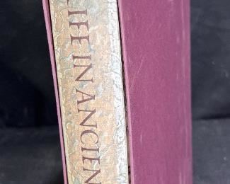 Daily Life in Ancient Rome
