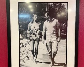 "Dr. No" framed movie poster