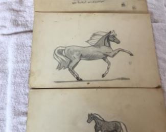 Horse sketching 