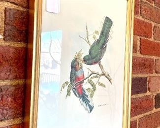 $48. Botanical Bird Print.