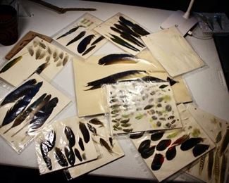 Lots of vintage bird feathers