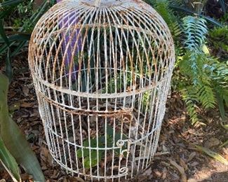 Bird Cage