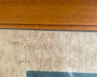 Audubon Engraved Print colored by R. Havell 11.18.37