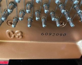 Serial Number of Yamaha Disklavier Pro Mark IV