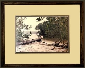 Framed Photo of Florida Beach