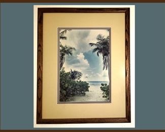 Lovely Tropical Framed Picture