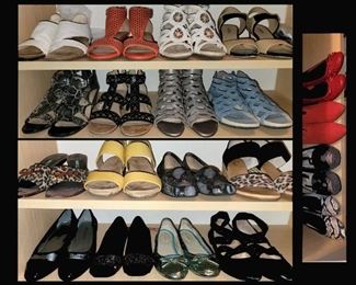 Sample of the Lady's Shoes