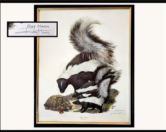 Ray Harm Signed Print Titled "Striped Skunk"