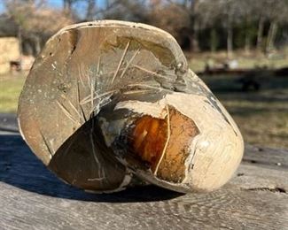 Large Nautilus Fossil
