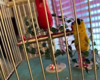 Birds move their beaks!