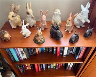 Bunnies, books, bookshelf