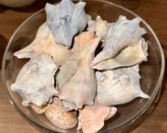 Bowl of Shells Anyone?