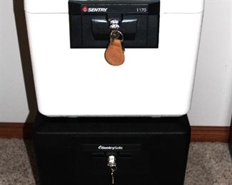 Water and Fireproof Sentry Safes