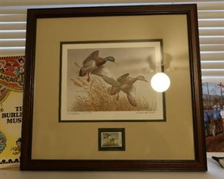 Ducks Unlimited Stamp Picture