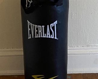 Everlast Punching Bag