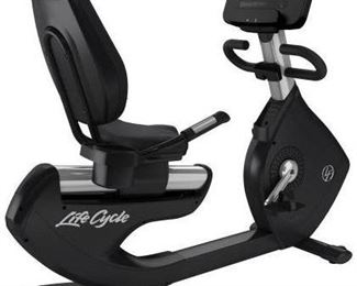 Life Fitness Exercise Bike