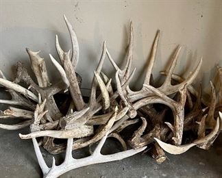 Antlers