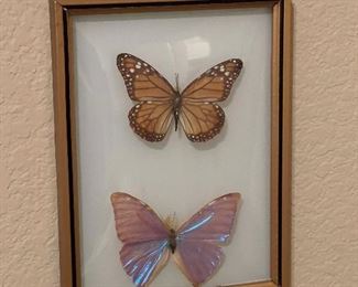 Butterfly Art