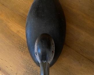 (D5) Barnegat Bay Circa 1900 "Black Duck" Asking $125. 