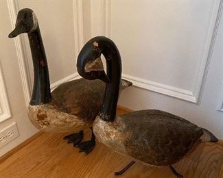 (D7) PAIR of unsigned Canada Goose decoys. 36" long x 36" tall. Great antique/vintage condition.  Original paint has some wear on each. Very sturdy - great display pieces. Asking $500 for the PAIR. 