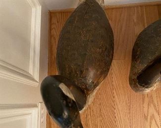 (D7) PAIR of unsigned Canada Goose decoys. 36" long x 36" tall. Great antique/vintage condition.  Original paint has some wear on each. Very sturdy - great display pieces. Asking $500 for the PAIR. 
