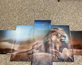 Lion picture set