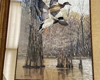 Duck framed print