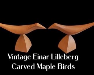 Lilleberg bird