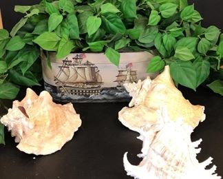 Ship Planter Seashells