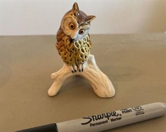 Goebel owl