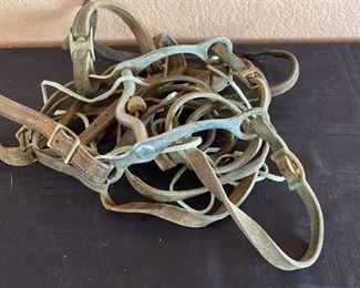 Horse Bridle