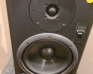 2 Roland speakers