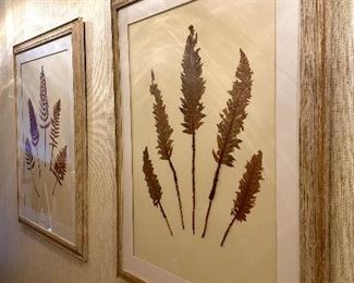 (2) Framed Botanicals