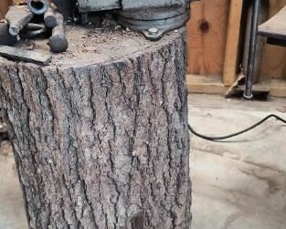 Large vice on large stump