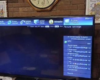 Large flat screen TV
