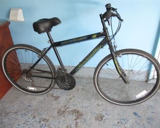 Roadmaster Boys Bicycle