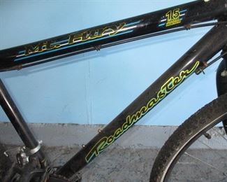 Roadmaster Boys Bicycle