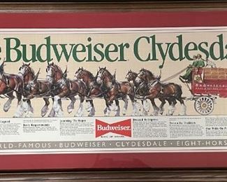 Large Framed Budweiser Clydesdales Eight Horse Hitch