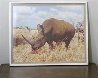 c. 1960's Silver Halide print;  Rhinoceros photo taken while on Safari in Africa in the early 1960's.  Overall 22” by 27”, image size 19” by 24”.
